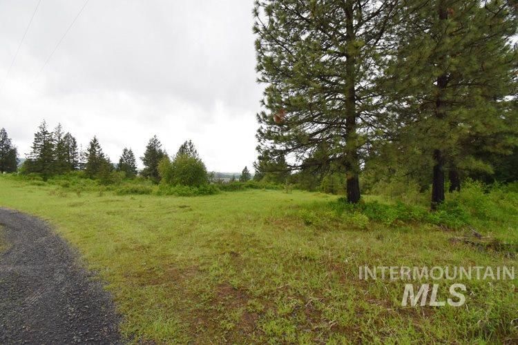 20 acres in Clearwater County, Idaho