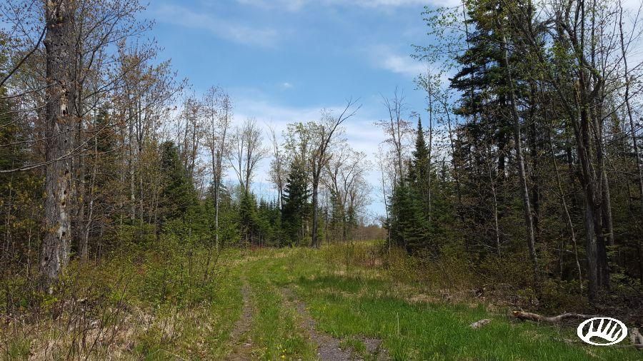 Hunters Trail, LotWP01, Summit, WI 54873