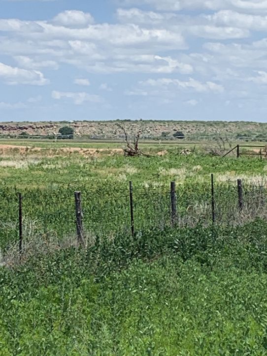 73 acres in Oldham County, Texas