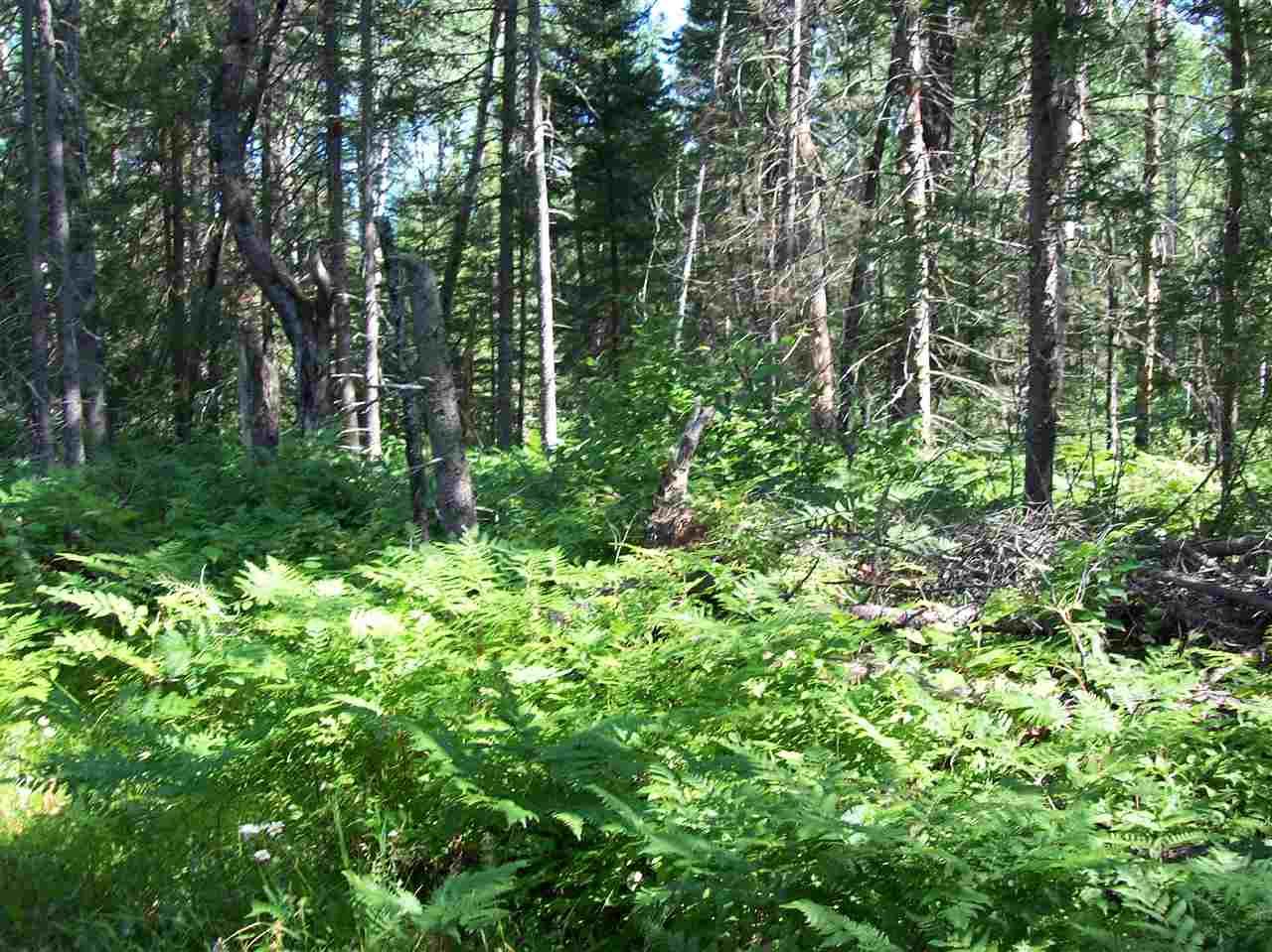 40 acres in Dickinson County, Michigan