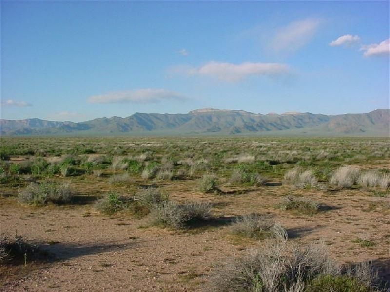 1.25 acres in Navajo County, Arizona