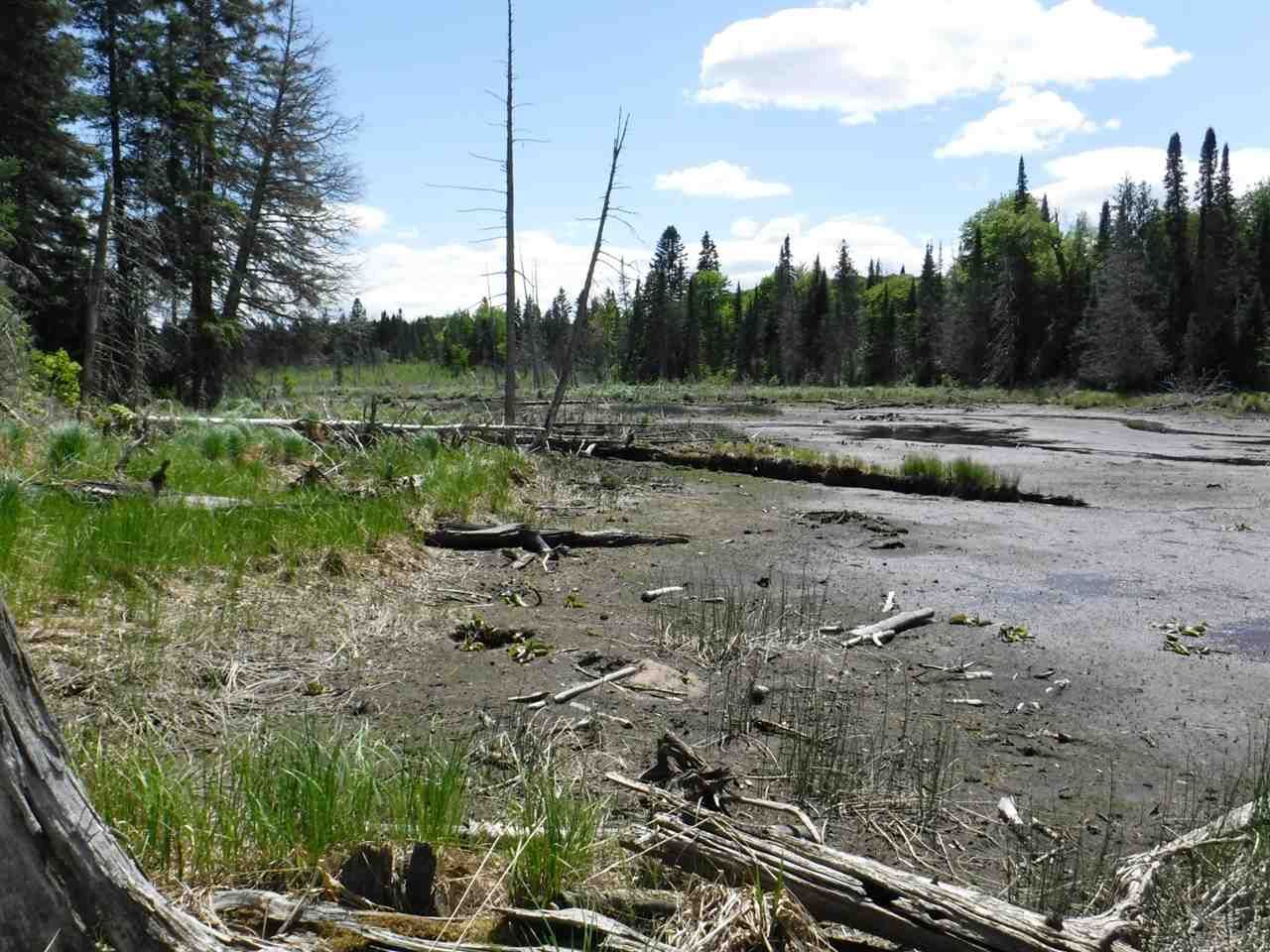 40 acres in Gogebic County, Michigan