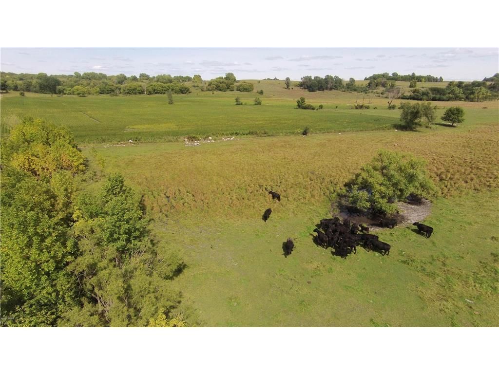 40 acres in Chippewa County, Minnesota