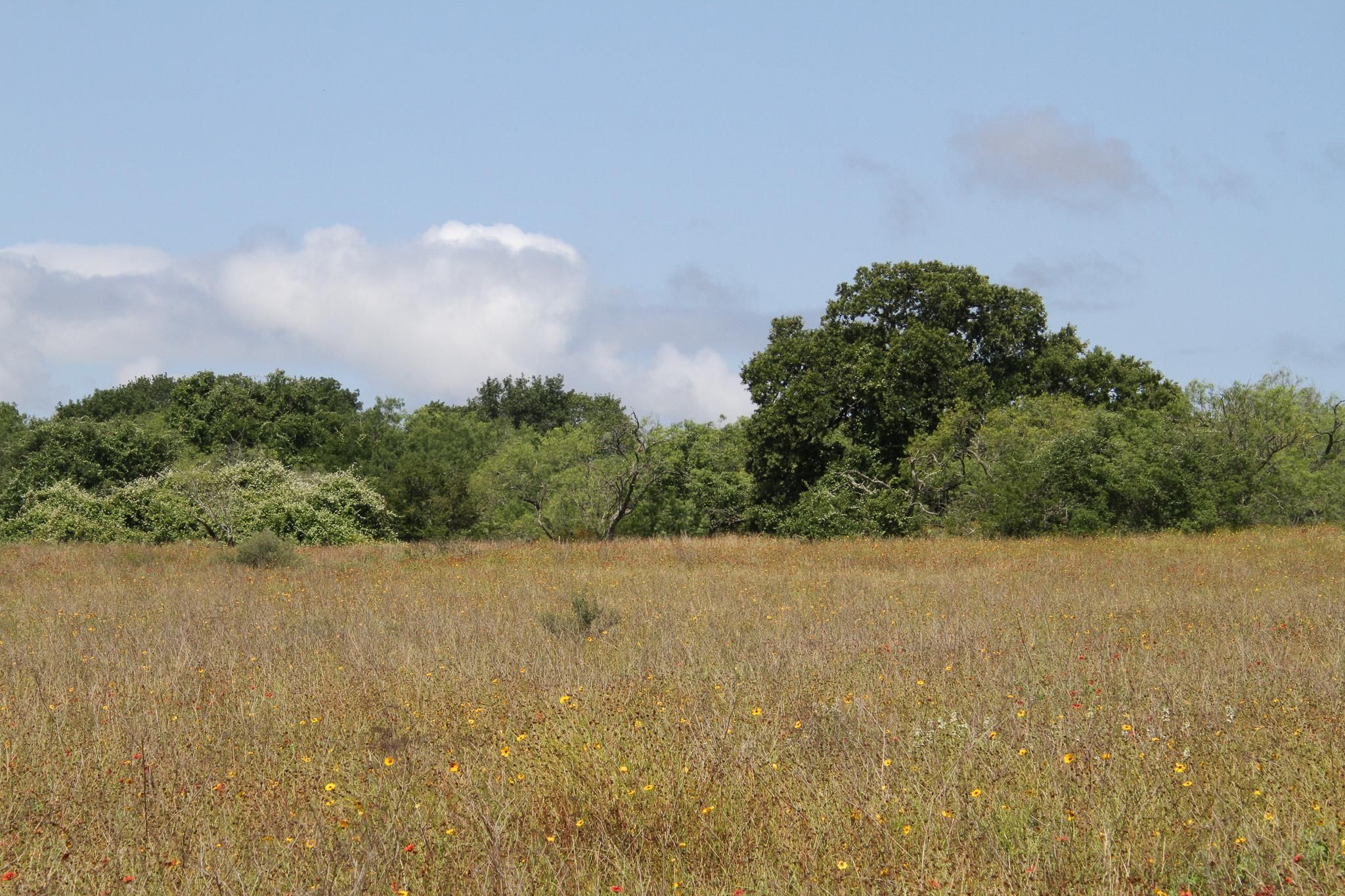 Clear Lake Loop, Poteet, TX 78065 MLS 1388956