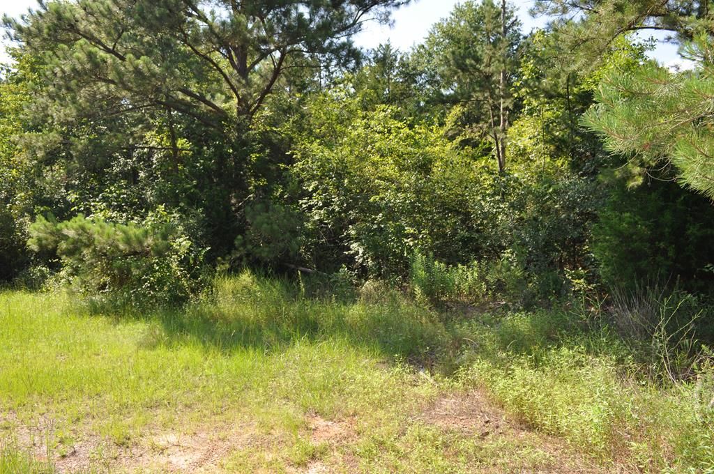 Acreage,Undeveloped, Undeveloped NECHES, TX