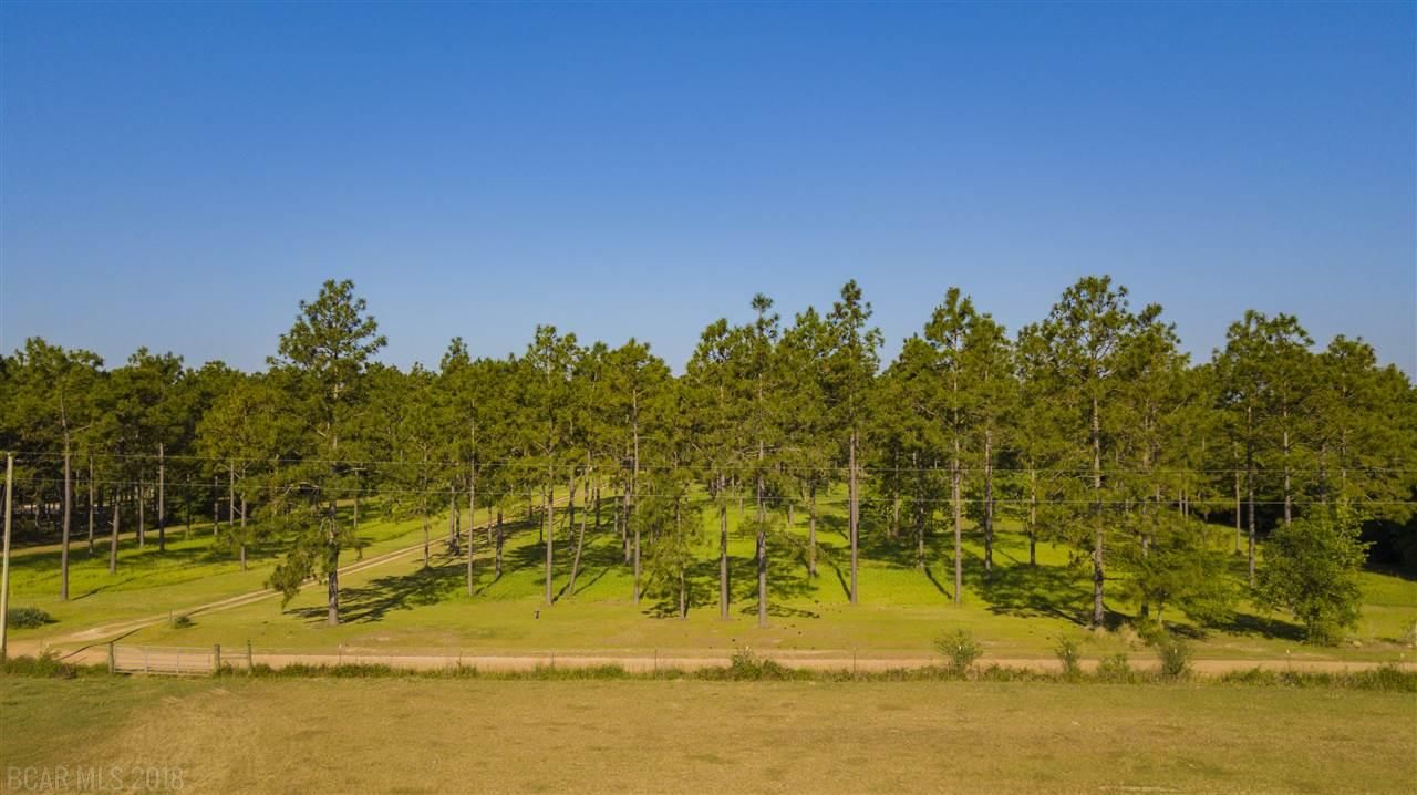 13.4 acres in Baldwin County, Alabama