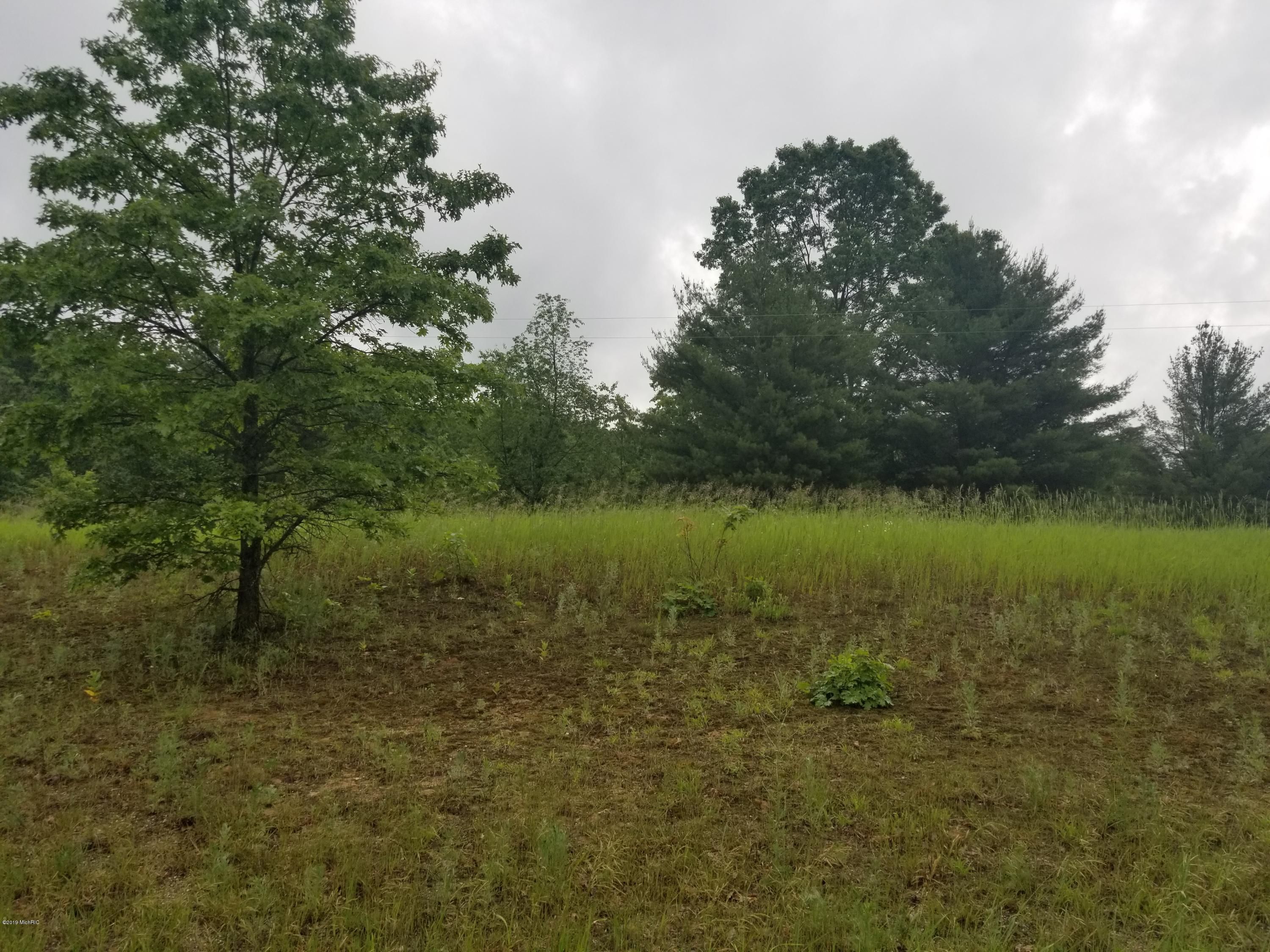 2 acres in Oceana County, Michigan