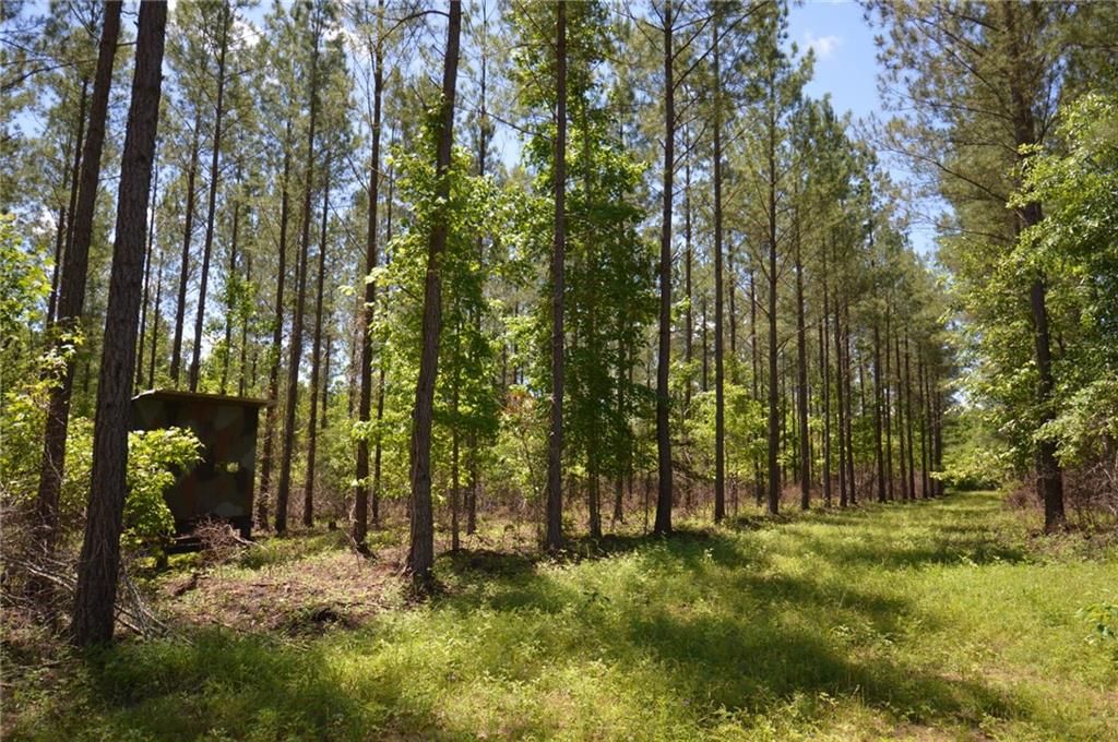 275 acres in Chambers County, Alabama