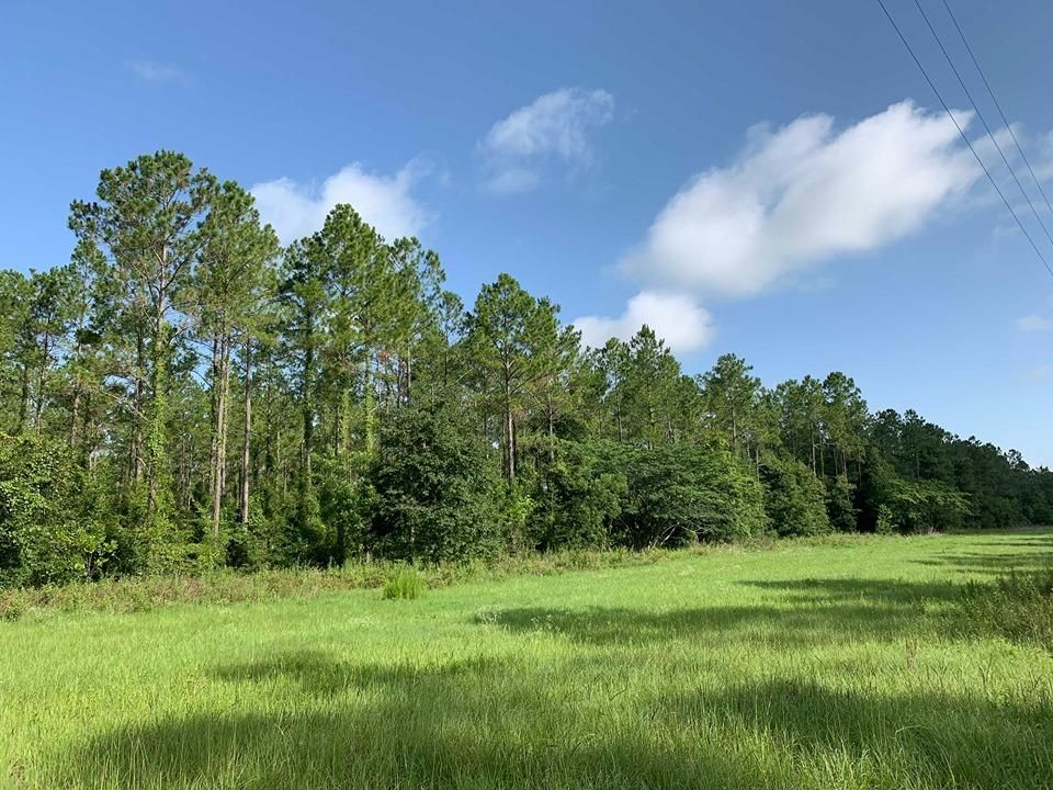 65.2 acres in Levy County, Florida
