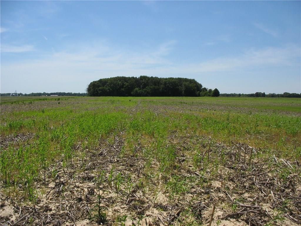 20 acres in Hendricks County, Indiana