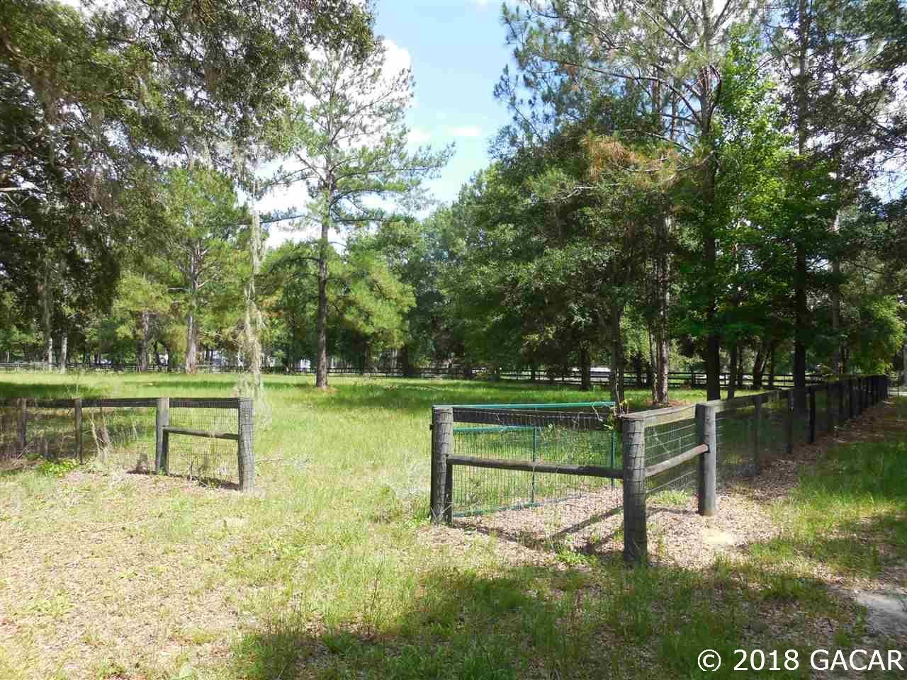 20 acres in Levy County, Florida