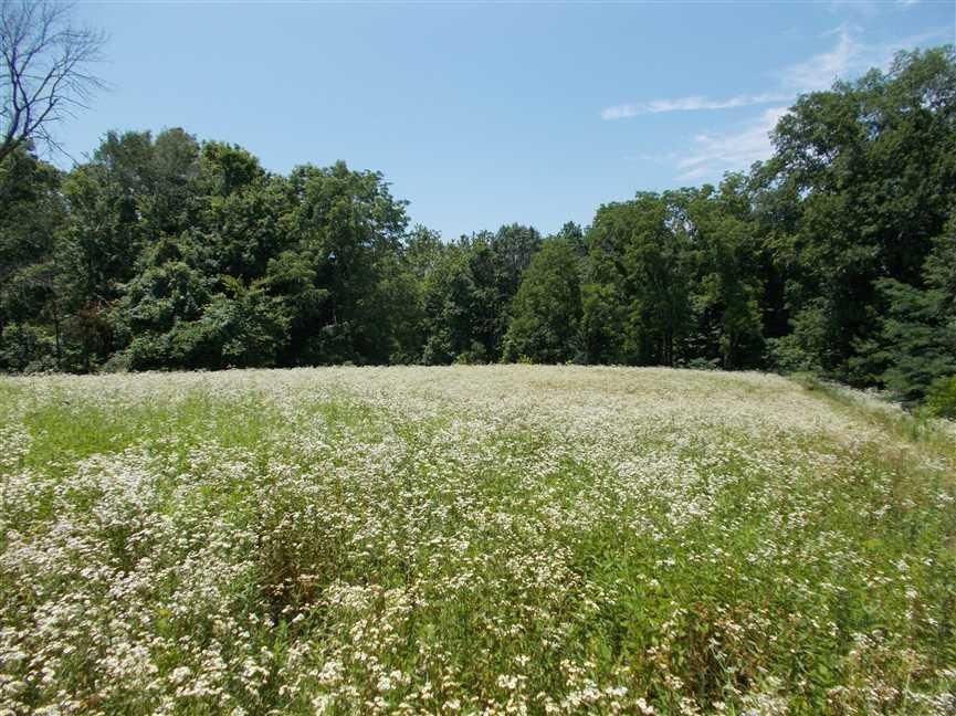 15.5 acres in Sullivan County, Indiana