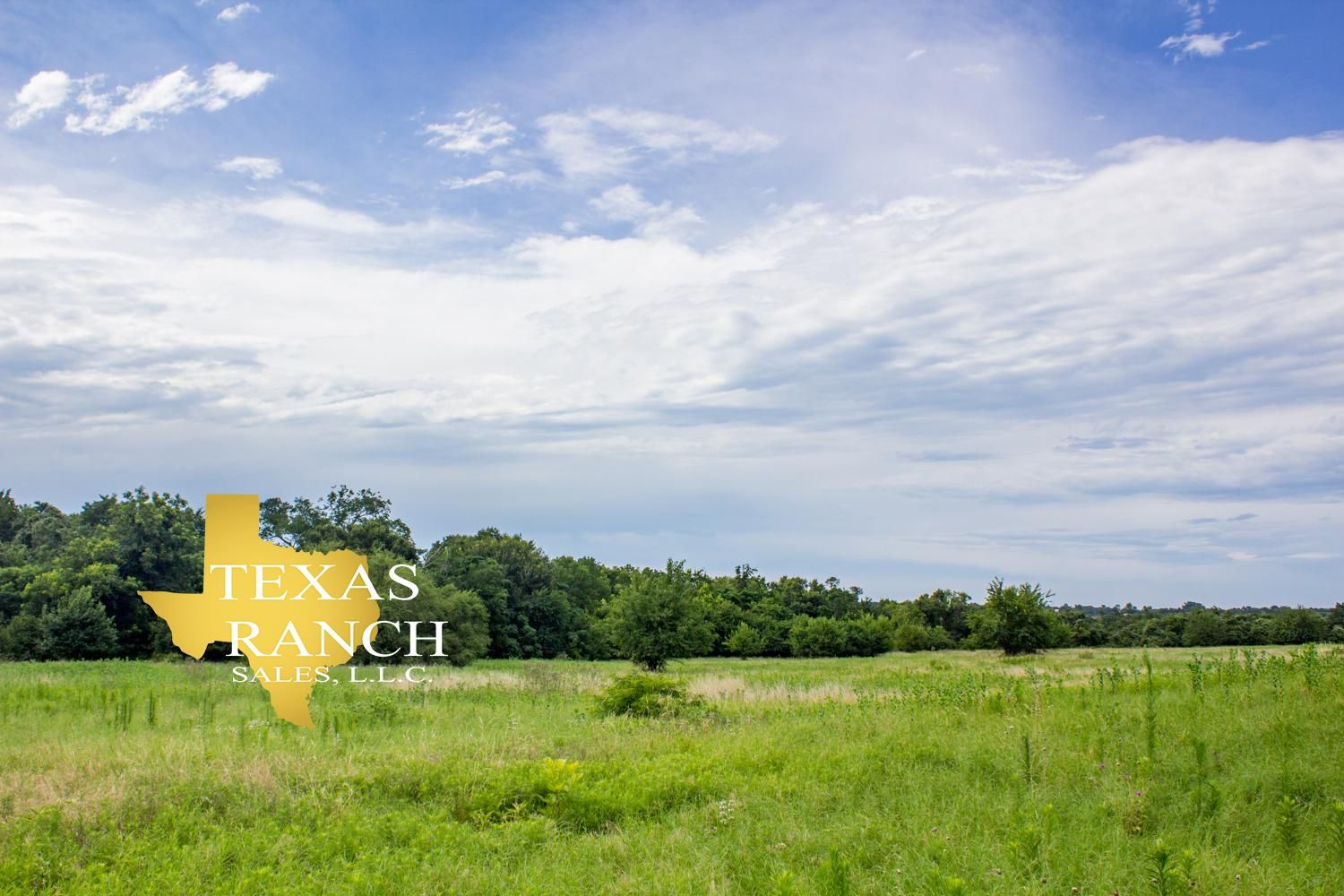 38 acres in Washington County, Texas