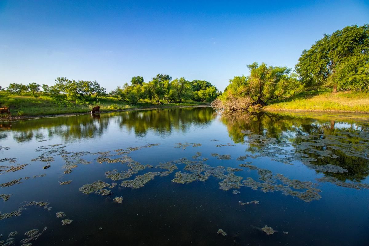 160 acres in Donley County, Texas