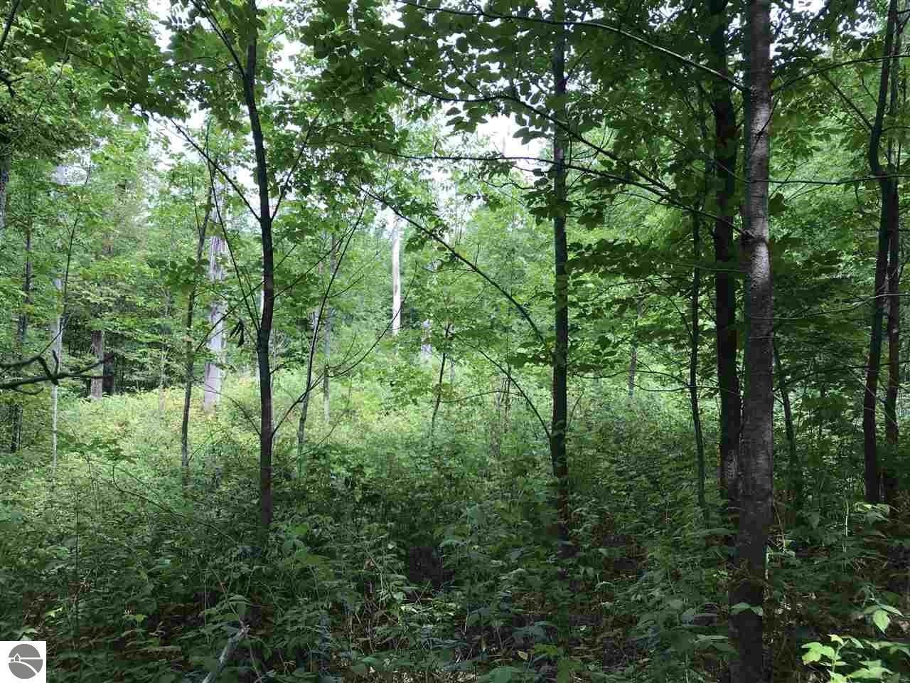 20 acres in Wexford County, Michigan