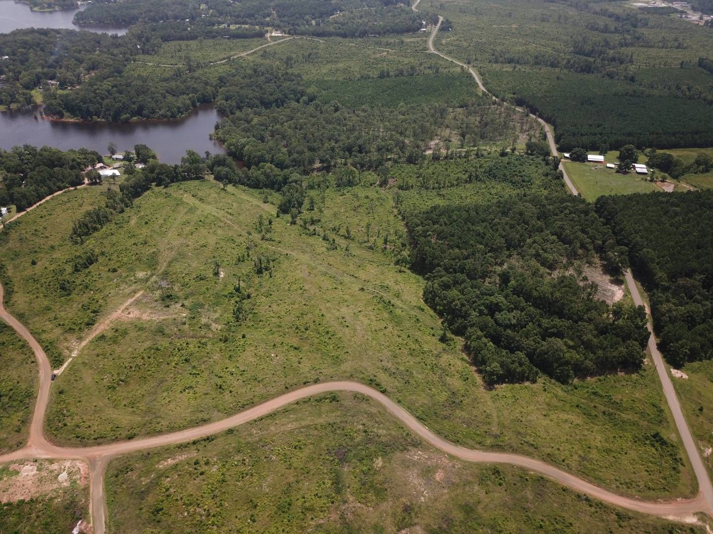 40 acres in Sabine Parish, Louisiana