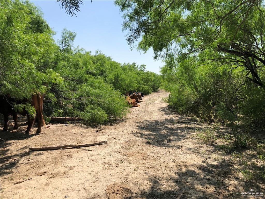 35.91 acres in Starr County, Texas
