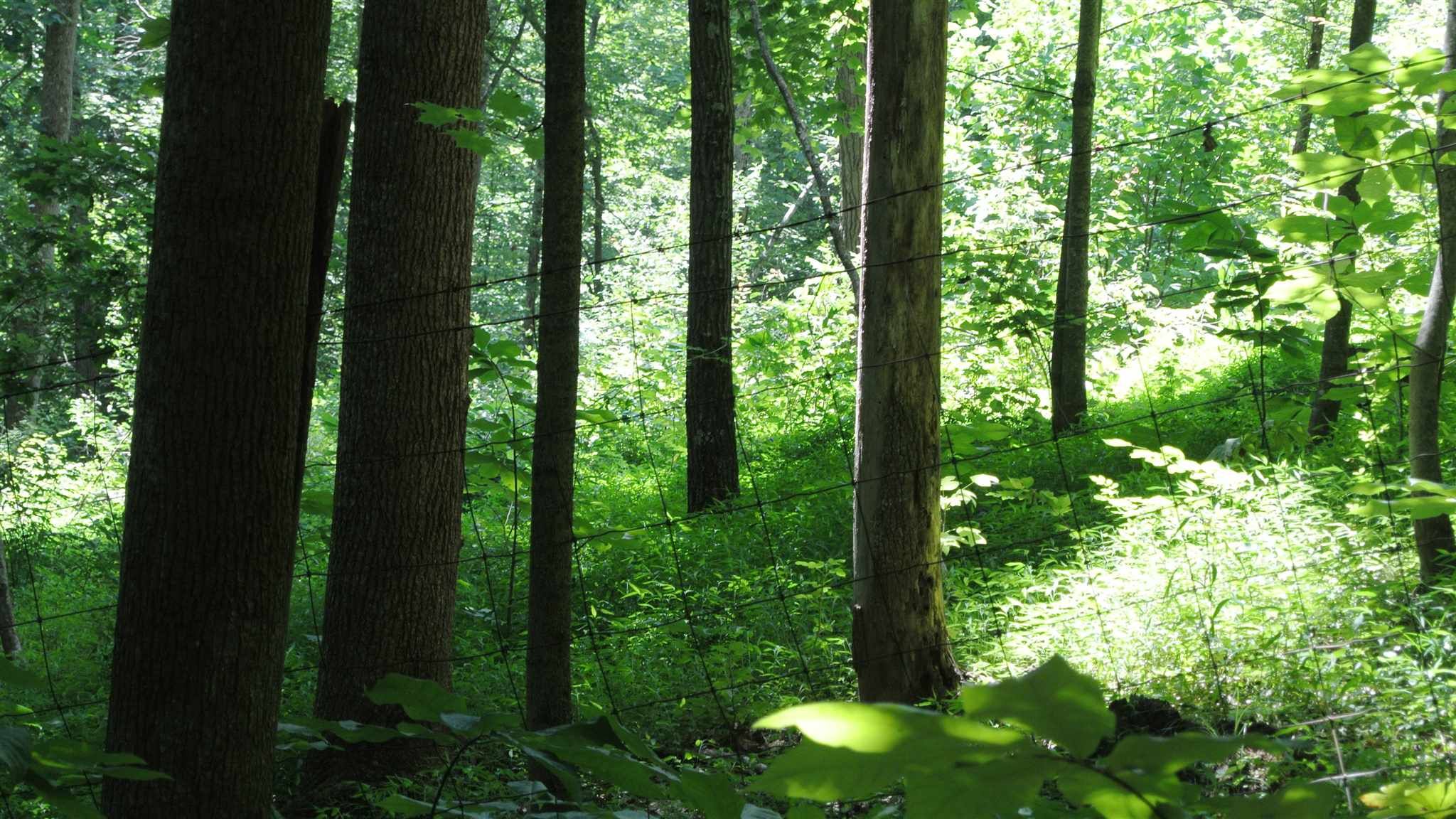 10 acres in Owen County, Indiana