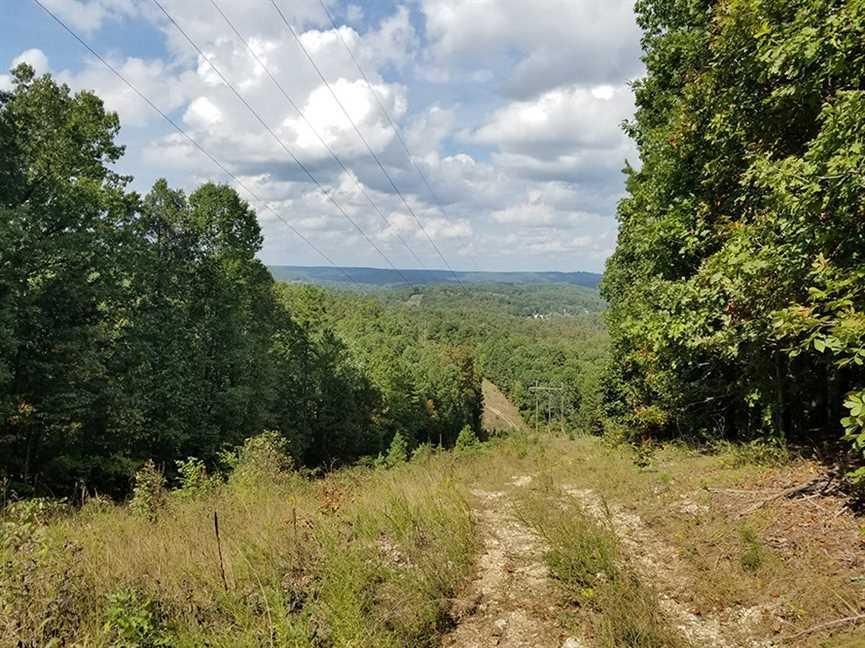 160 acres in Shannon County, Missouri