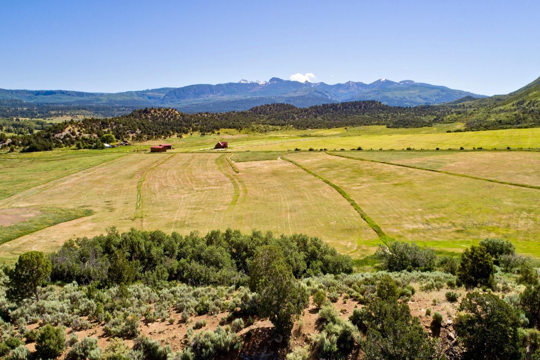106.87 acres in Montezuma County, Colorado