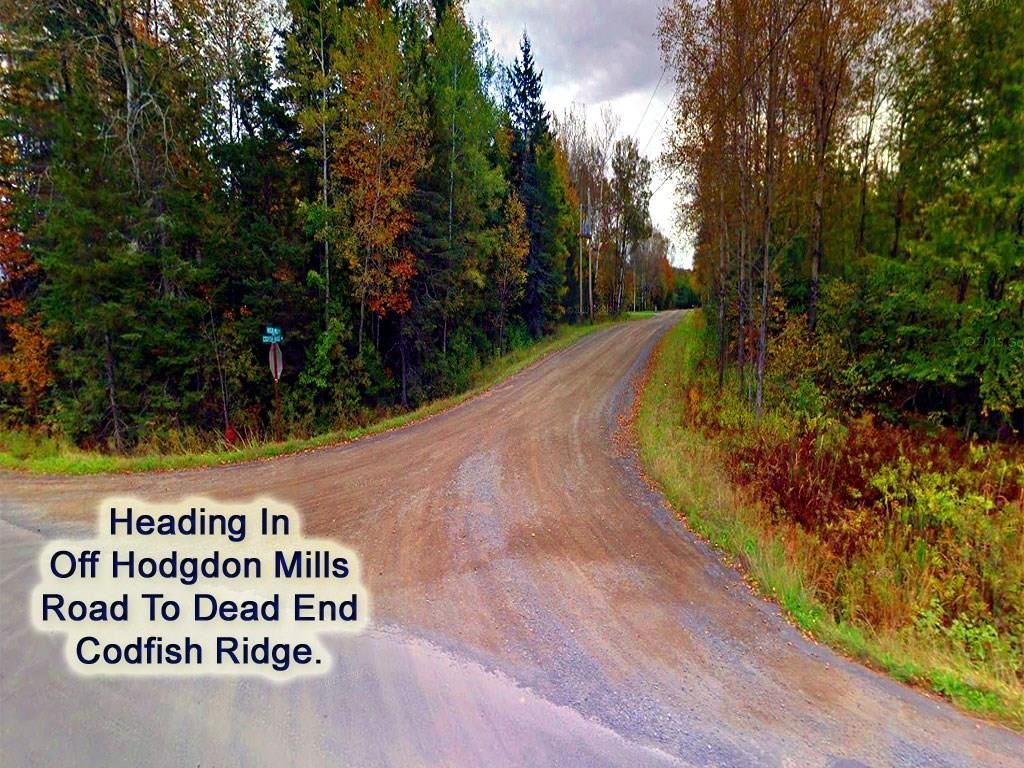 50 acres in Aroostook County, Maine