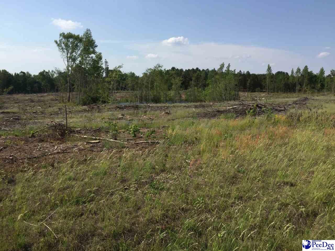 78 acres in Chesterfield County, South Carolina