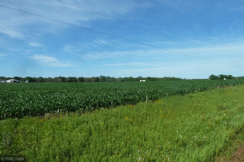 40 acres in Mille Lacs County, Minnesota