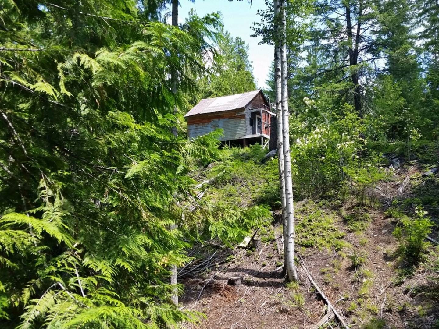 10 acres in Bonner County, Idaho