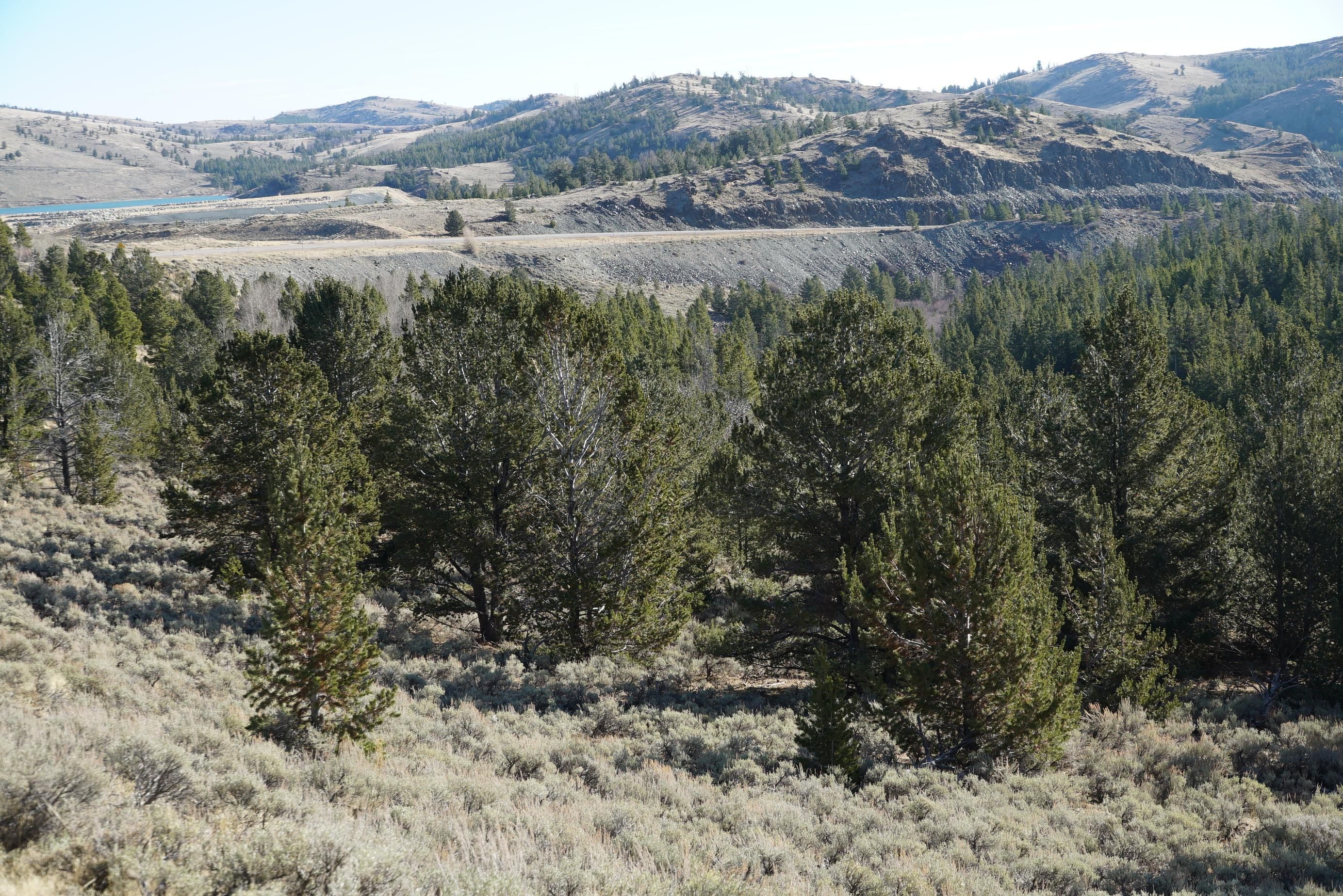 41 acres in Fremont County, Wyoming