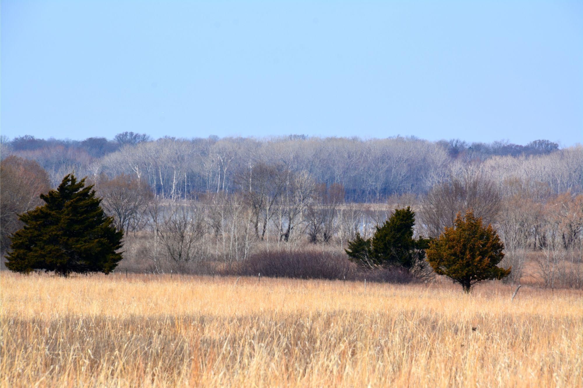 78 acres in Coffey County, Kansas