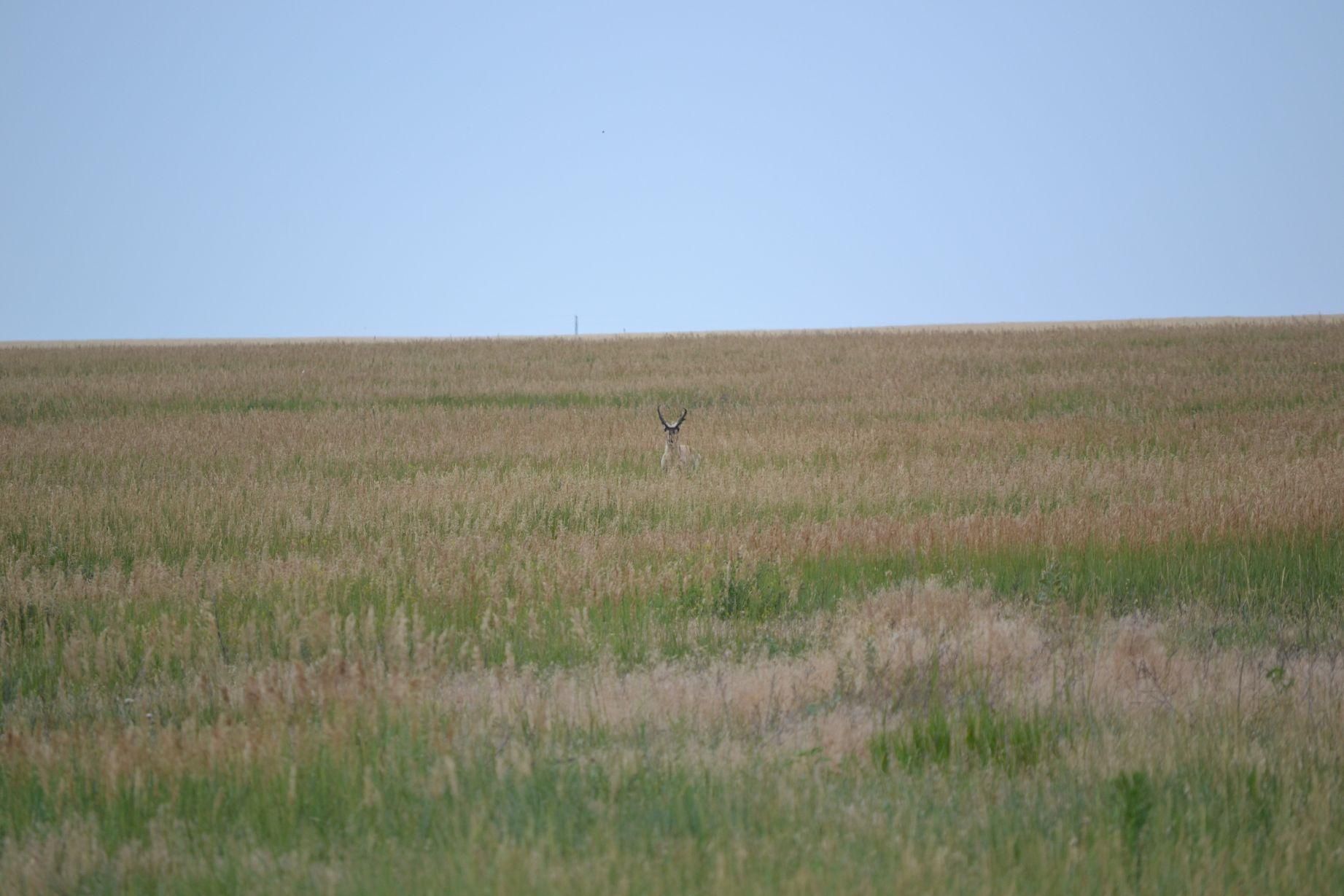160 acres in Yuma County, Colorado