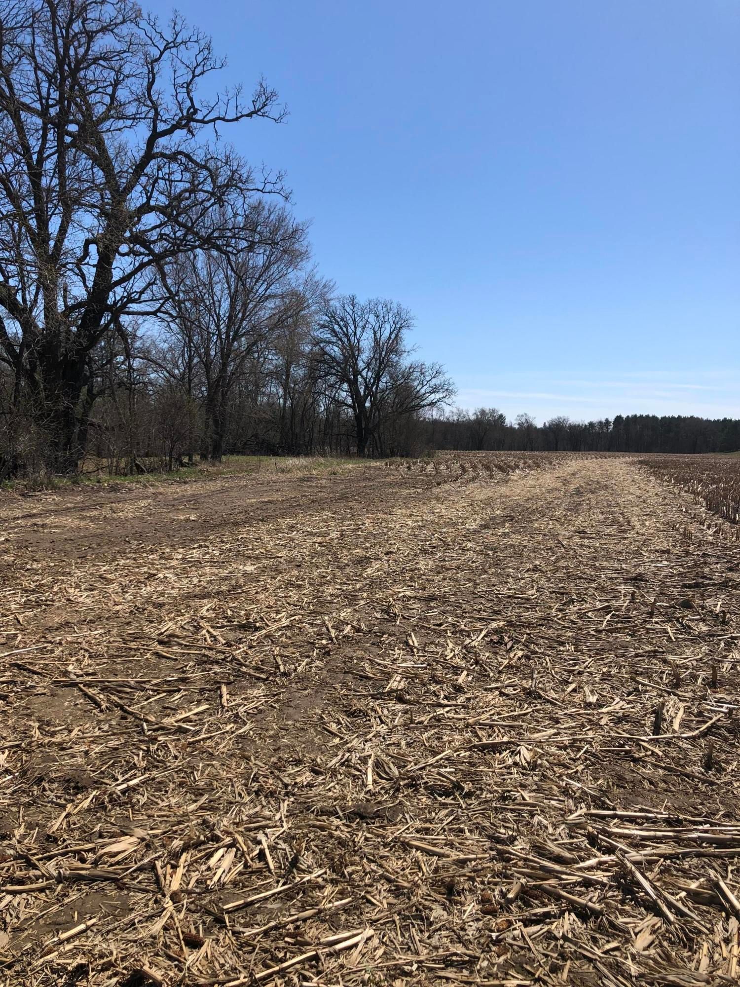 10 acres in Monroe County, Wisconsin