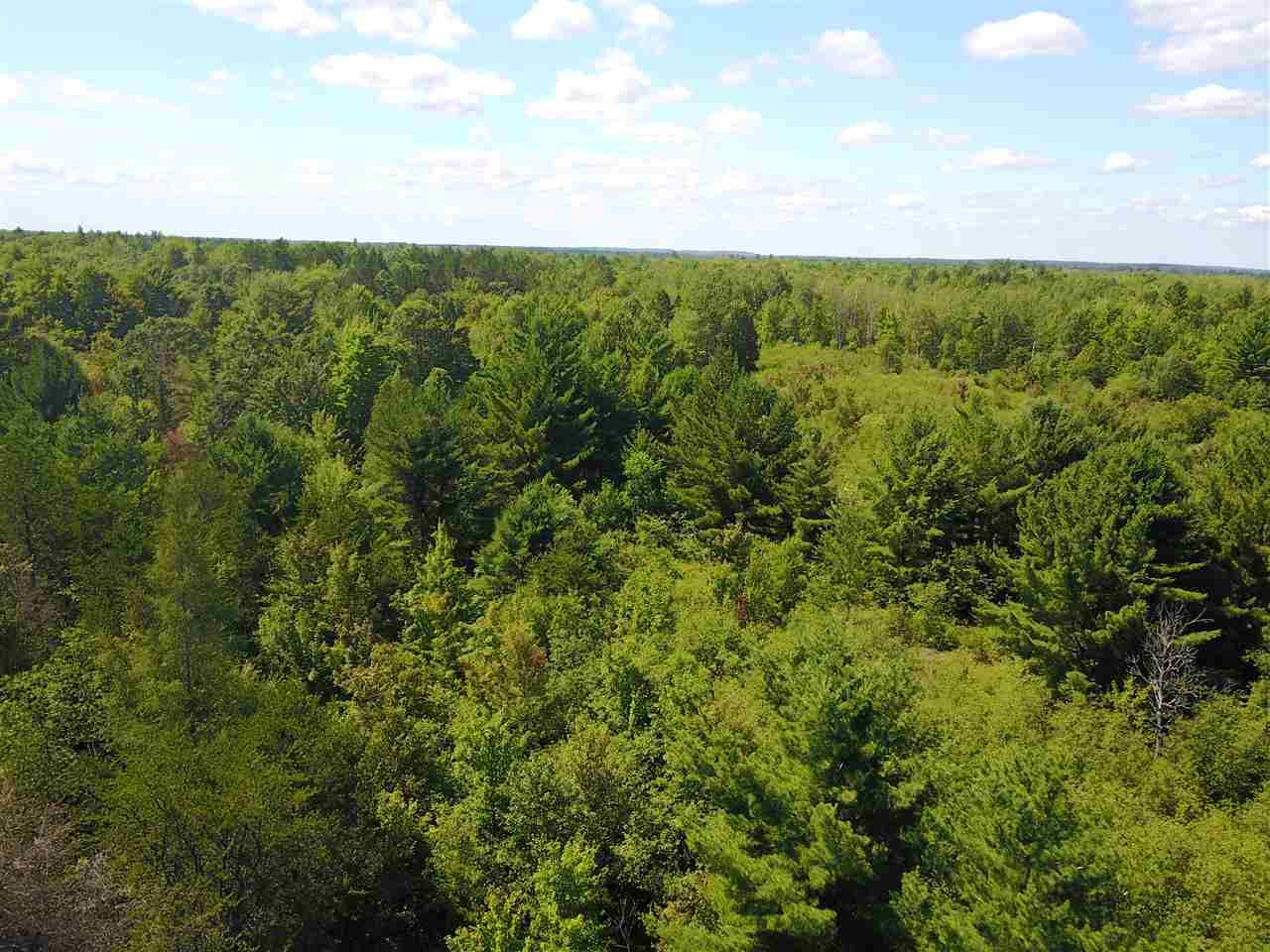 26 acres in County, Michigan