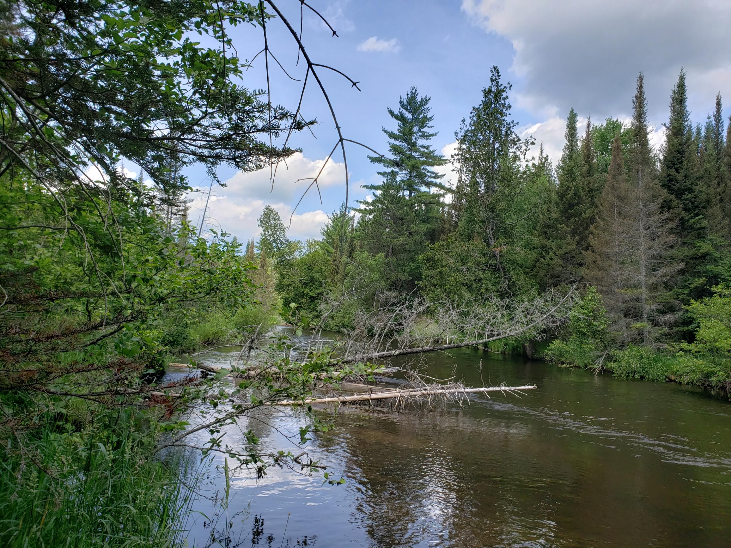 40 acres in Crawford County, Michigan