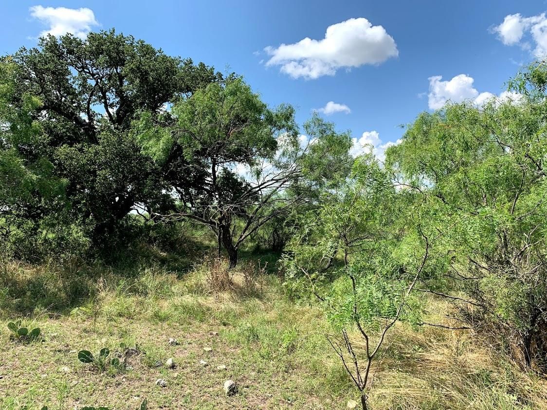 15 acres in Menard County, Texas