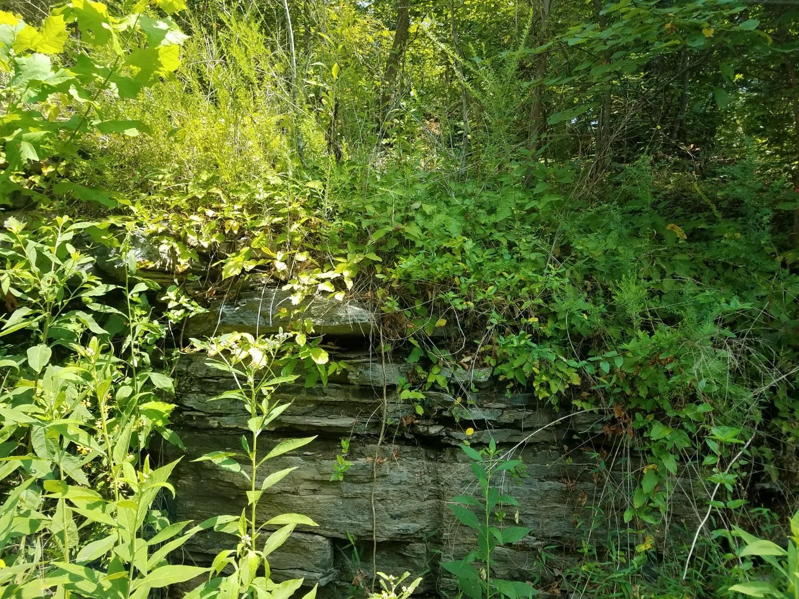 135 acres in Hickman County, Tennessee