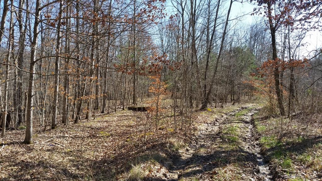 75 acres in Elliott County, Kentucky