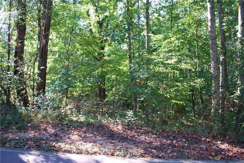 18.63 acres in Lumpkin County,