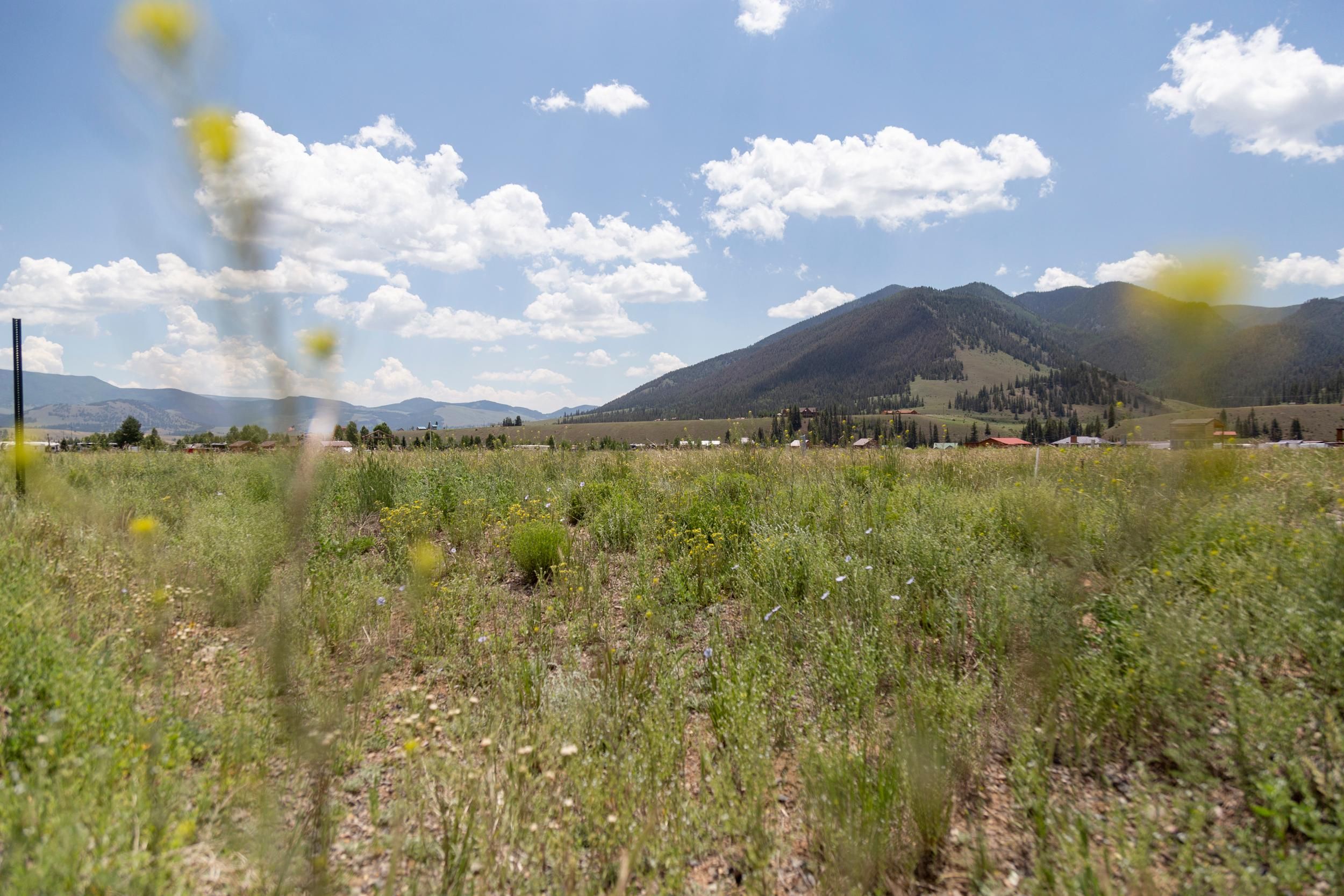 0.25 acres in Mineral County, Colorado