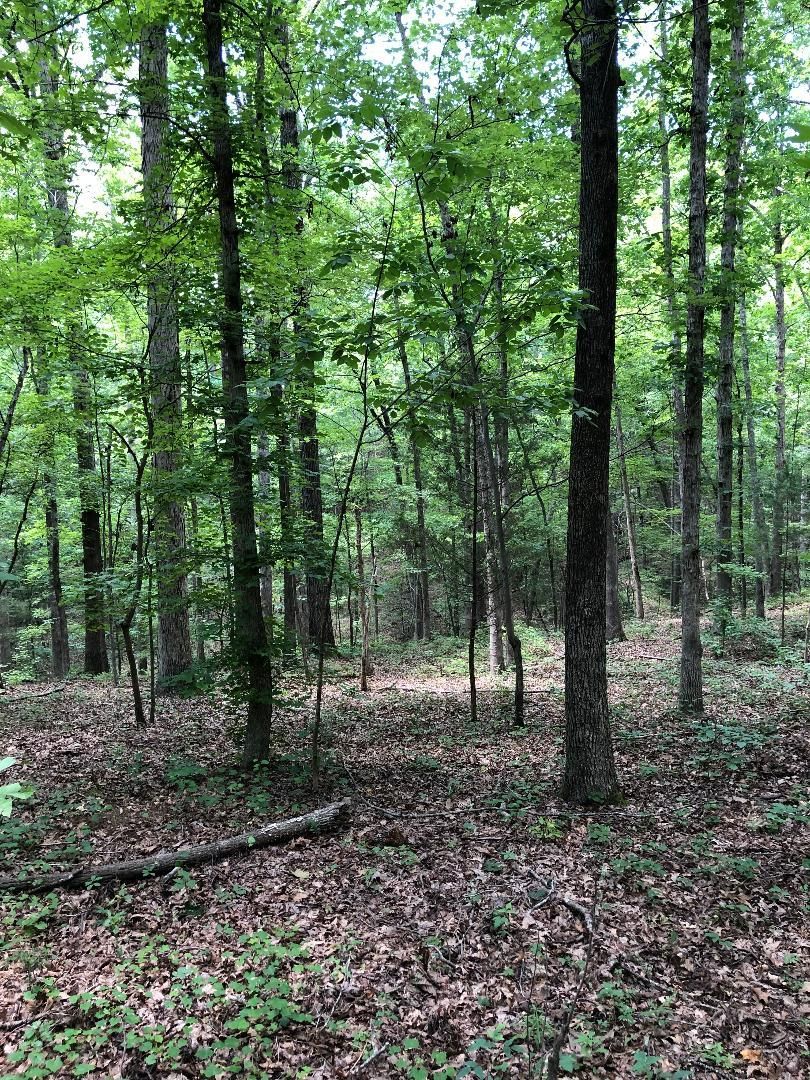 221 acres in Lancaster County, South Carolina