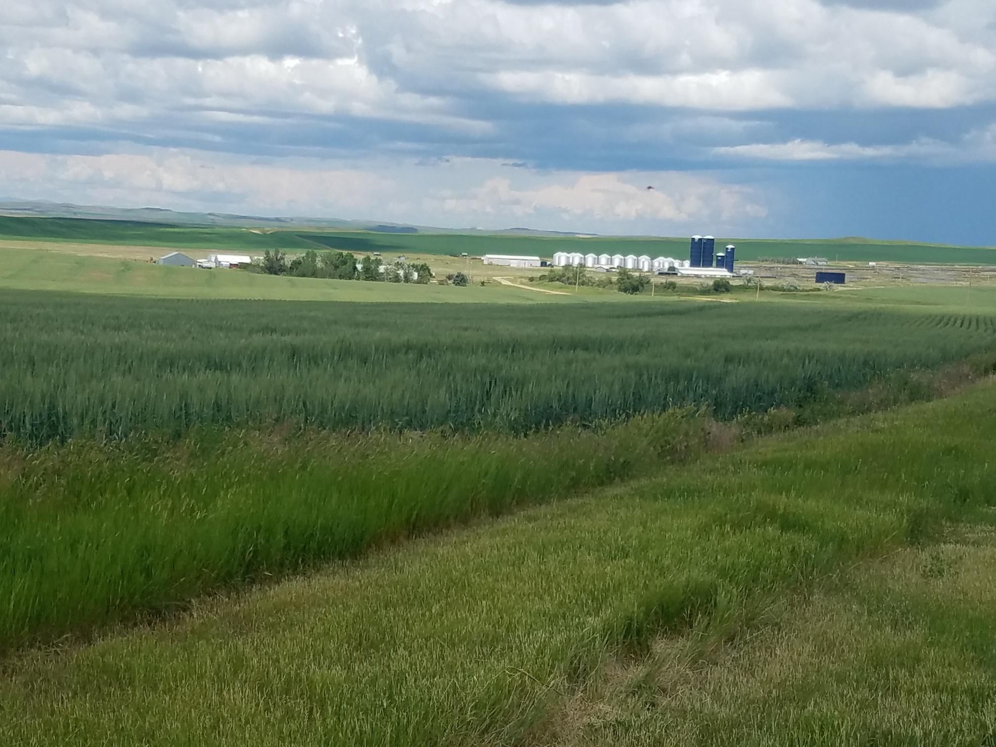 9,200 acres in Fergus County, Montana