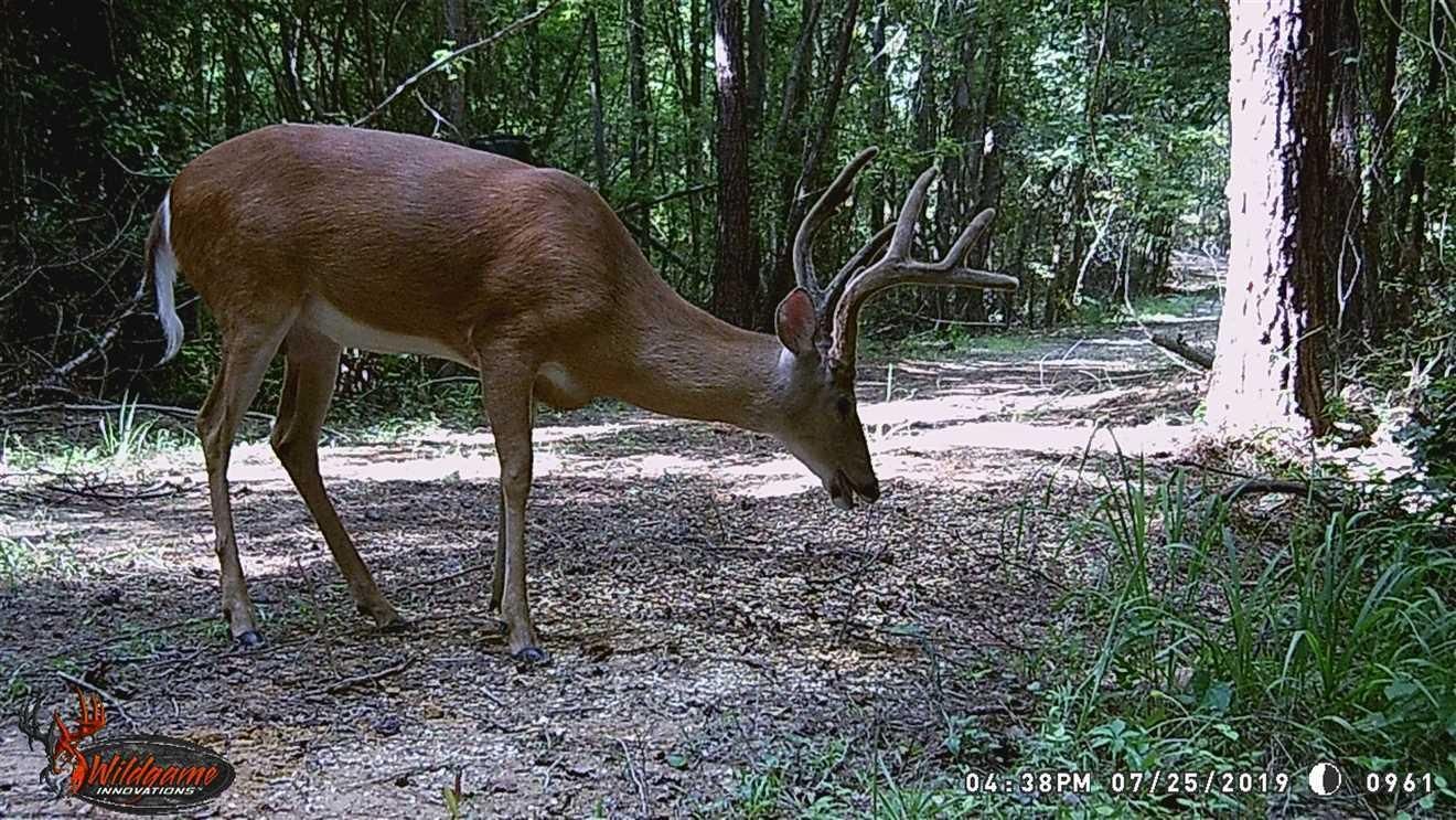 60 acres in Bibb County,