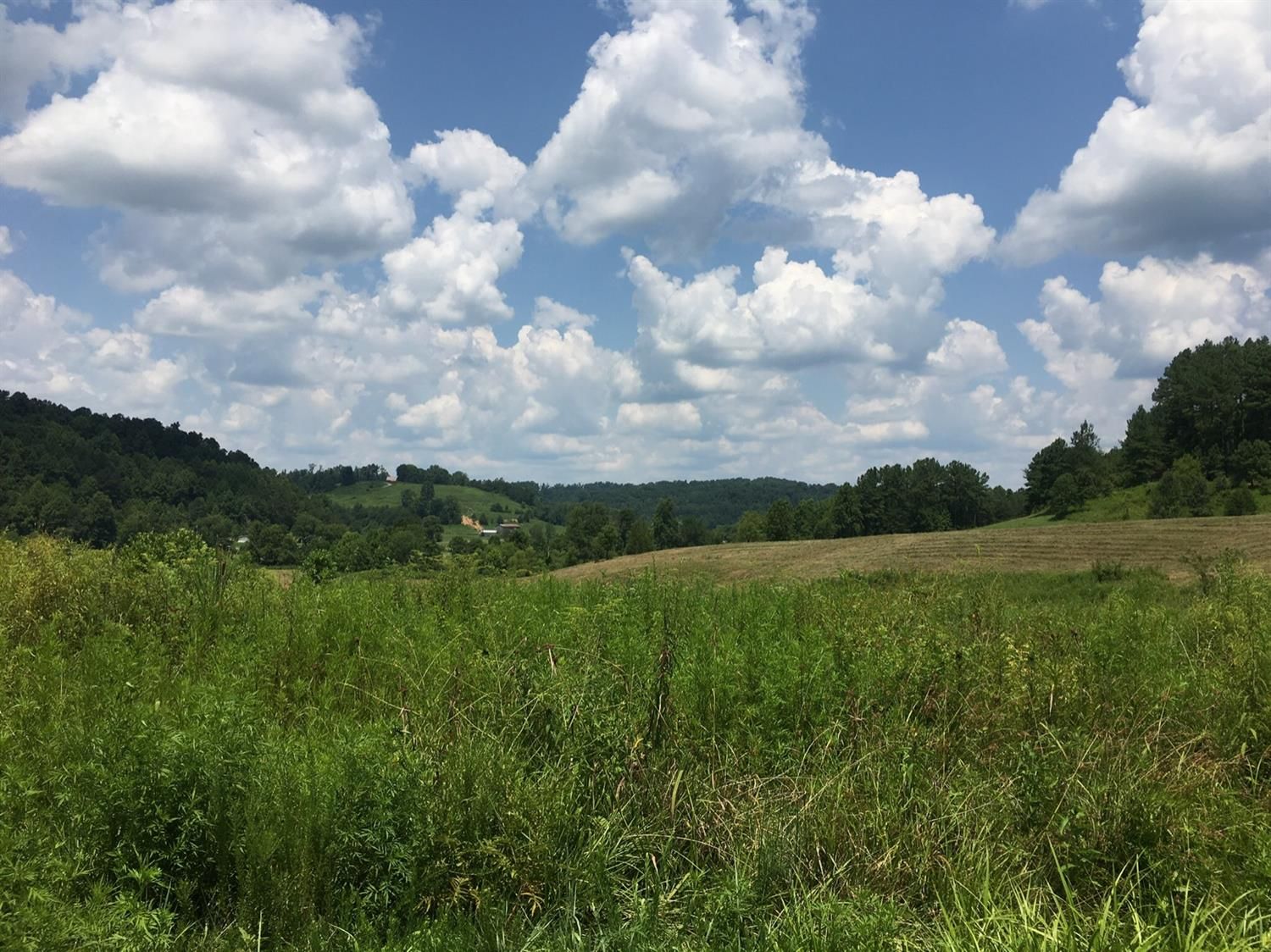 86 acres in Laurel County, Kentucky