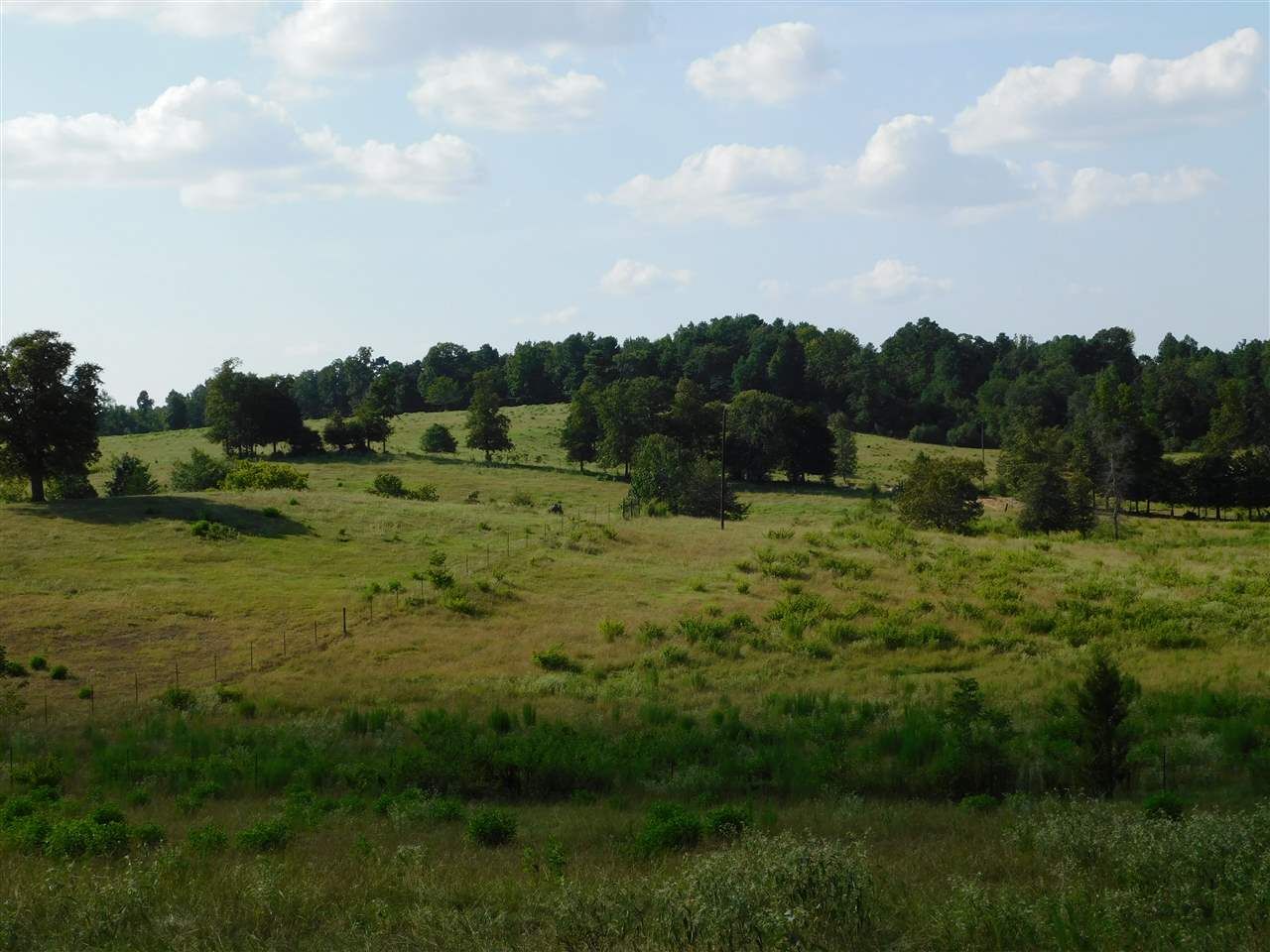 70 acres in Upshur County, Texas