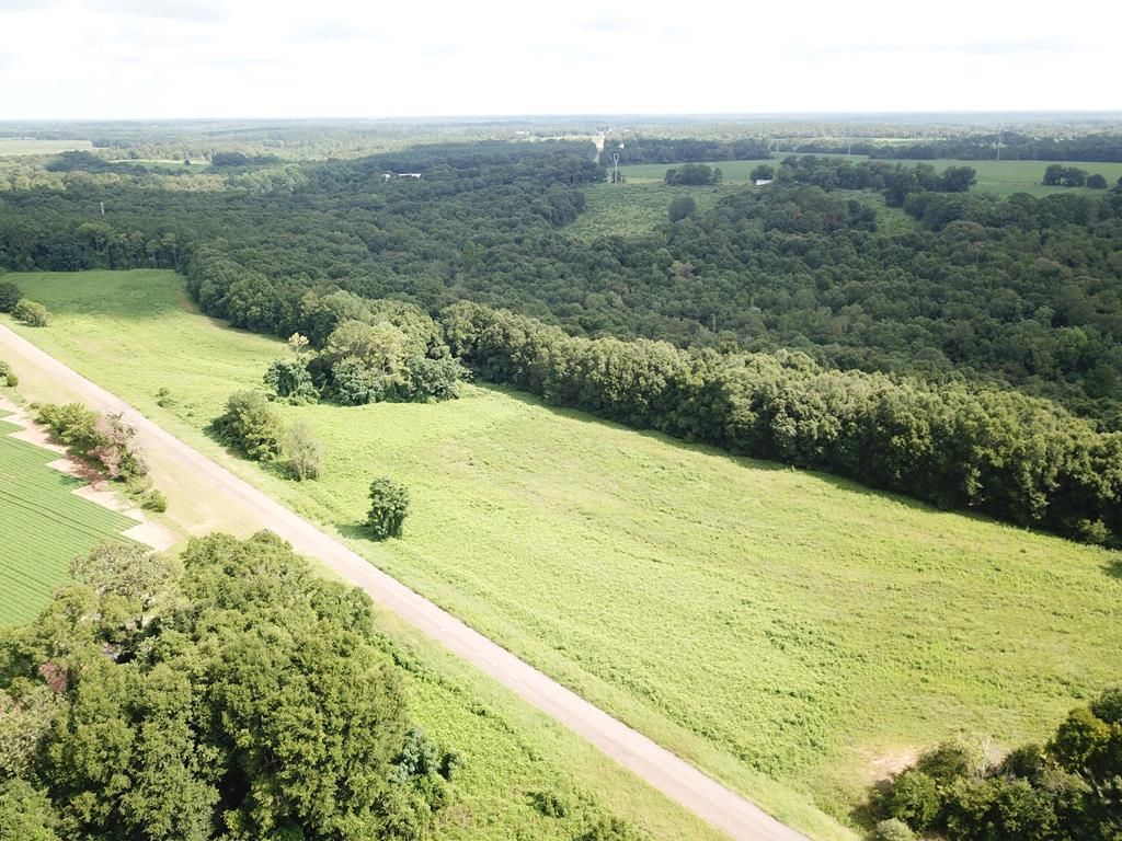 23.5 acres in Geneva County, Alabama