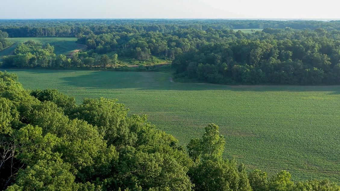 254 acres in Macoupin County, Illinois