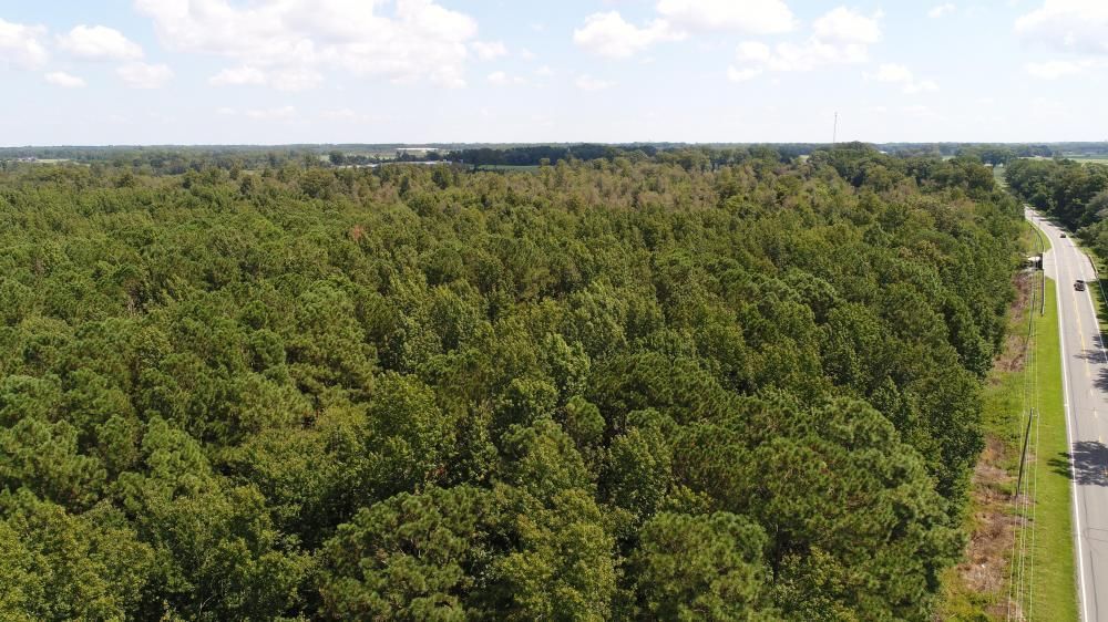 146 acres in Wayne County, North Carolina