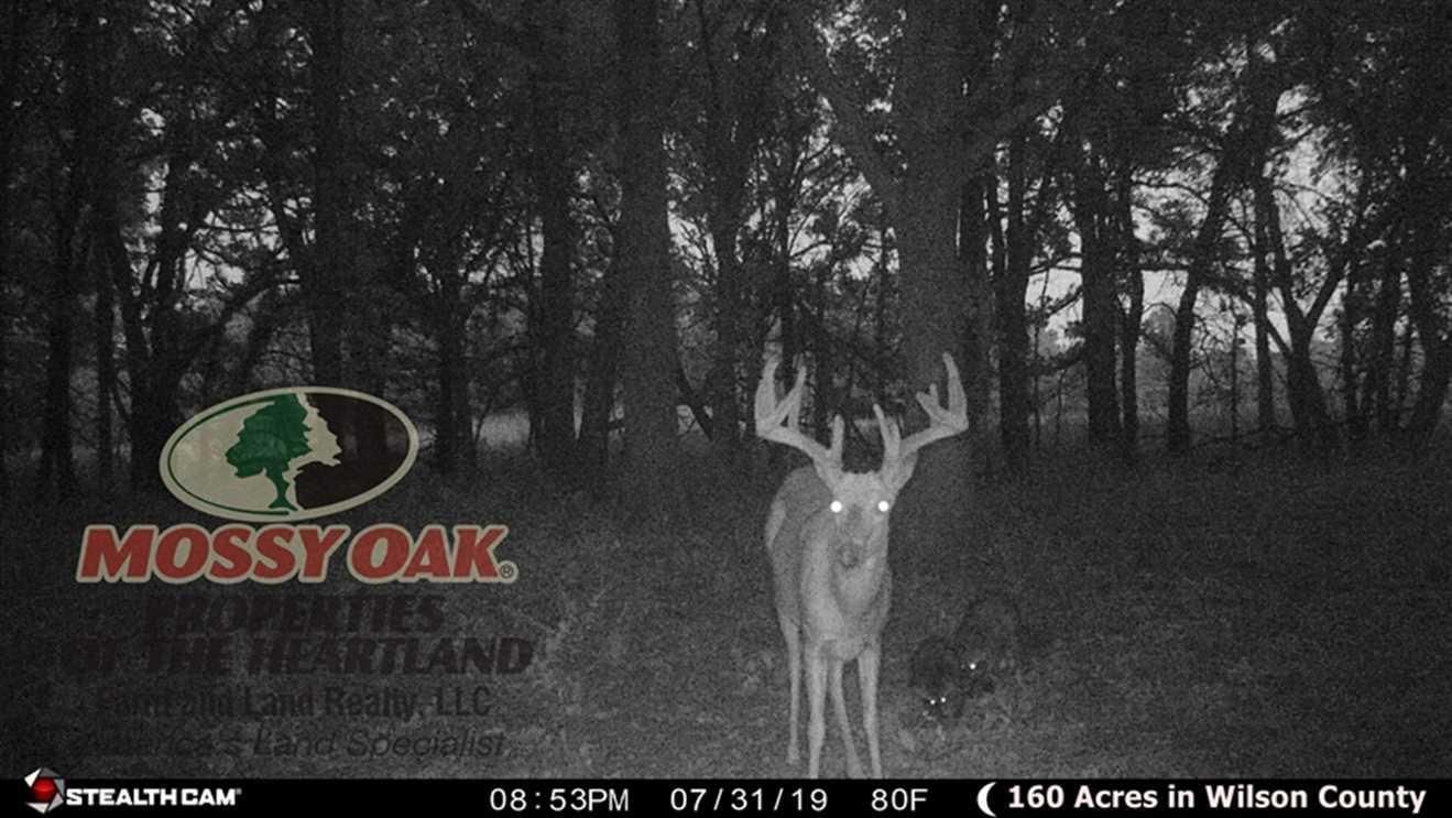 160 acres in Wilson County, Kansas