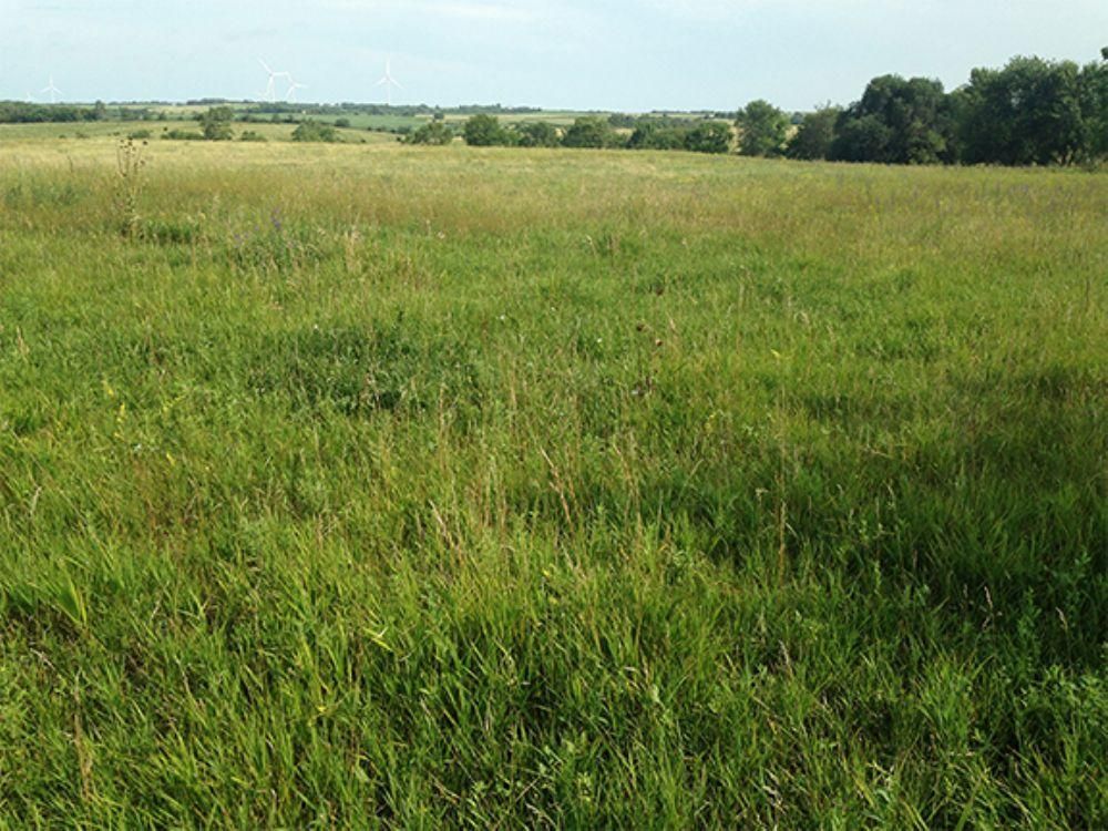 419.45 acres in Madison County, Nebraska