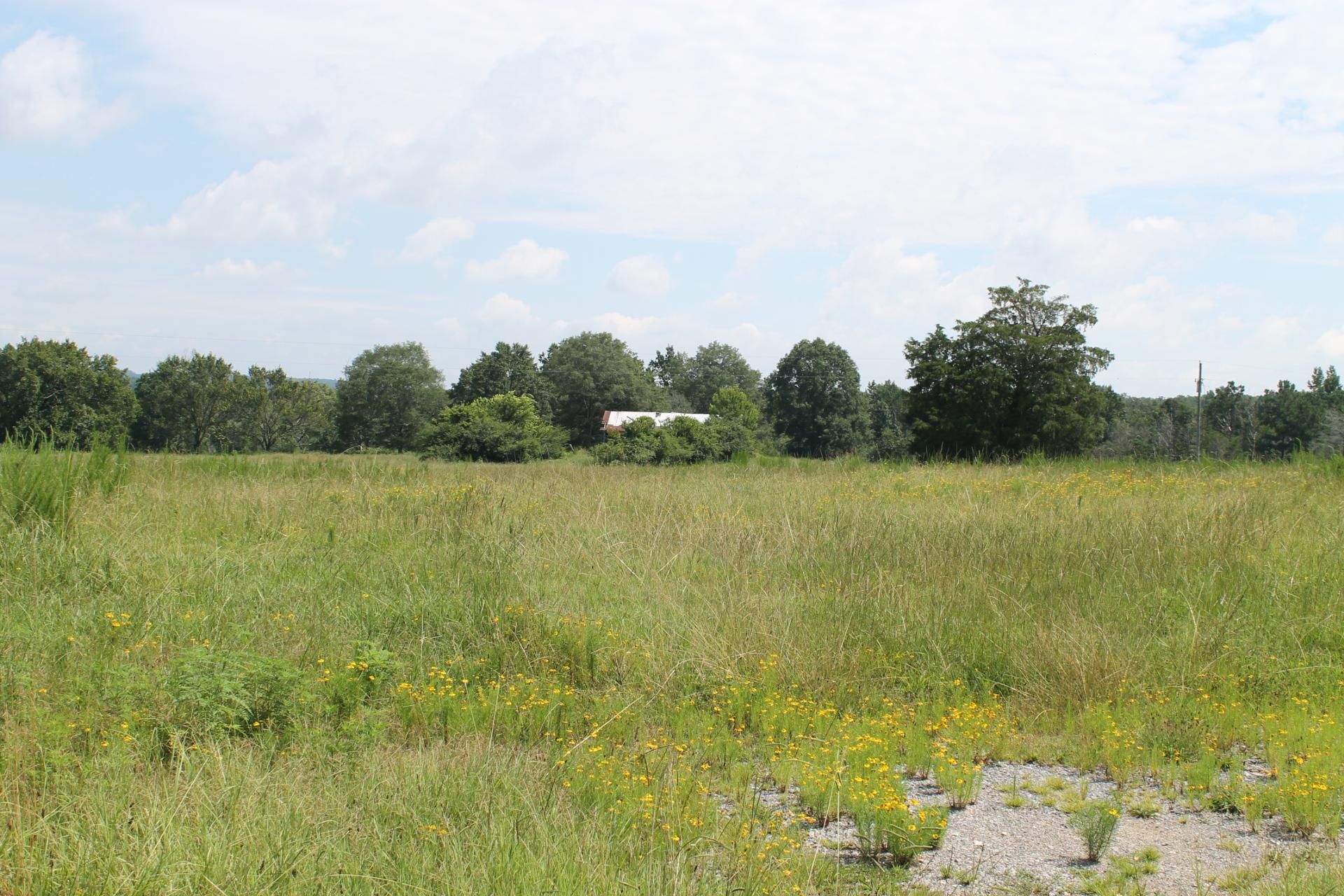 153 acres in Cherokee County, Alabama